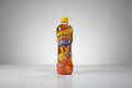 Bebida de Té Negro Frío Kang Shi Fu 500 ml