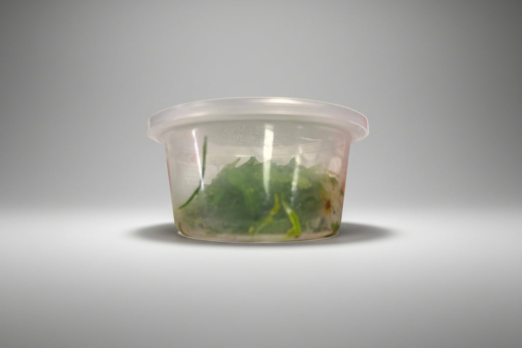 Wakame Hidratado Marukyo (Hiyashi Wakame) 100 g