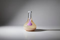 Sake Nigori Fukushima Aladdin Bottle