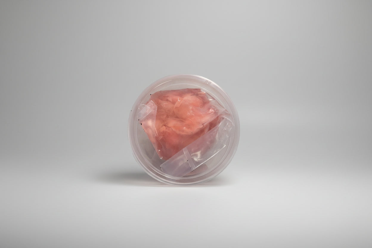 Gari Rosado (Jengibre Encurtido para Sushi) 500 g